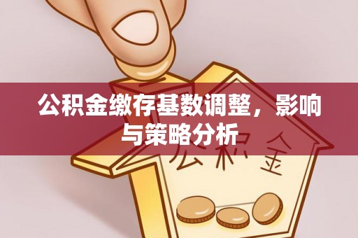 荔浦公积金缴存基数调整，影响与策略分析