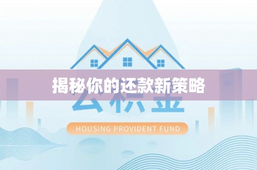 荔浦揭秘你的还款新策略