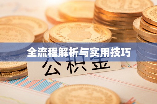 荔浦全流程解析与实用技巧