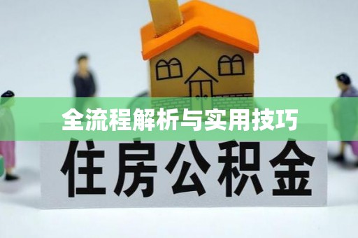 荔浦全流程解析与实用技巧