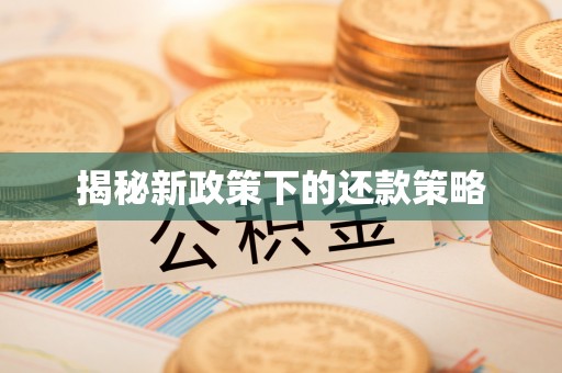 荔浦揭秘新政策下的还款策略