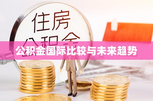 荔浦公积金国际比较与未来趋势