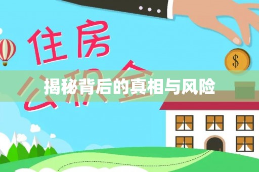 荔浦揭秘背后的真相与风险