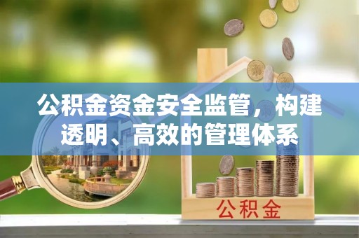 荔浦公积金资金安全监管，构建透明、高效的管理体系