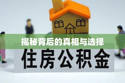 荔浦揭秘背后的真相与选择