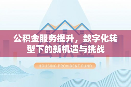 荔浦公积金服务提升，数字化转型下的新机遇与挑战