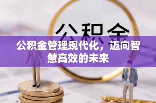 荔浦公积金管理现代化，迈向智慧高效的未来