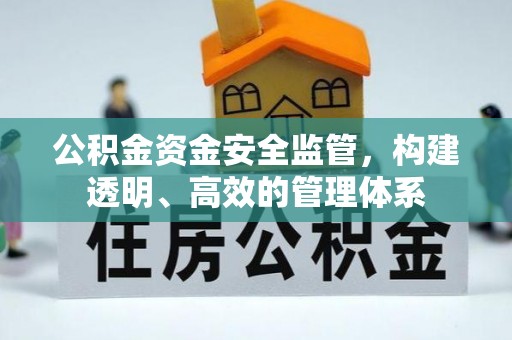 荔浦公积金资金安全监管，构建透明、高效的管理体系