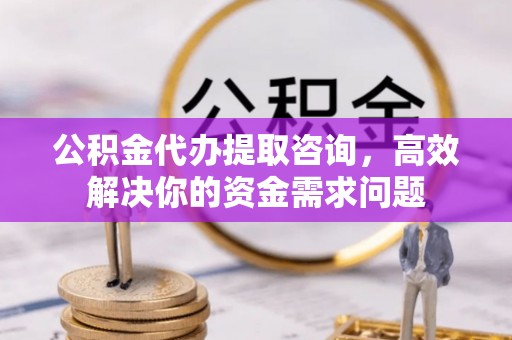荔浦公积金代办提取咨询，高效解决你的资金需求问题