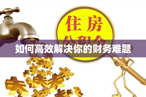 荔浦如何高效解决你的财务难题