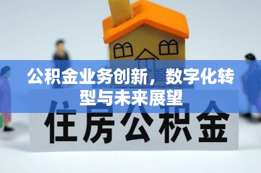 荔浦公积金业务创新，数字化转型与未来展望