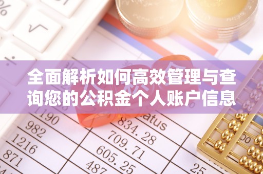 荔浦全面解析如何高效管理与查询您的公积金个人账户信息
