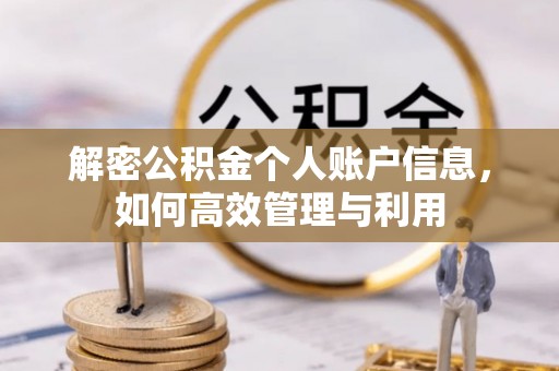 荔浦解密公积金个人账户信息，如何高效管理与利用