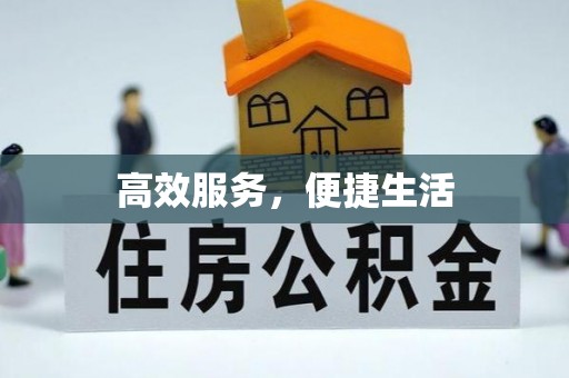 荔浦高效服务，便捷生活