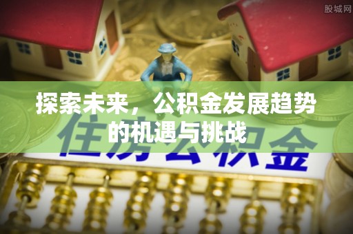 荔浦探索未来，公积金发展趋势的机遇与挑战