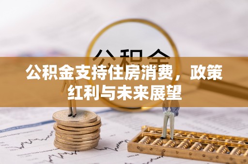荔浦公积金支持住房消费，政策红利与未来展望