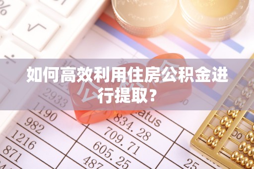 荔浦如何高效利用住房公积金进行提取？