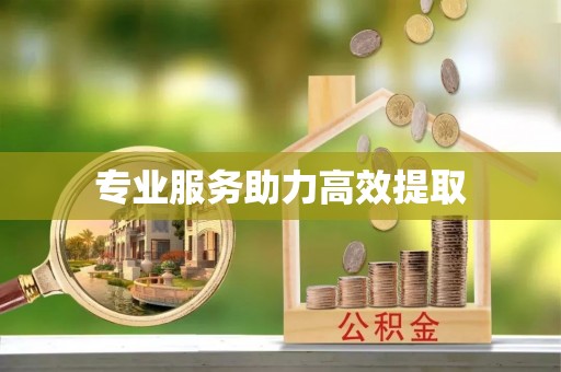 荔浦专业服务助力高效提取