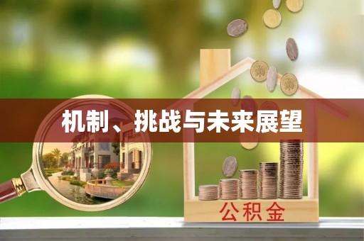 荔浦机制、挑战与未来展望