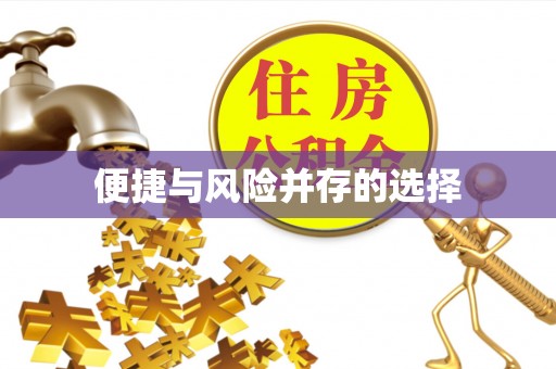 荔浦便捷与风险并存的选择