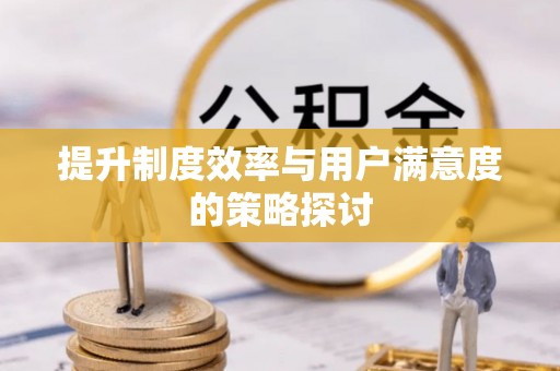 荔浦提升制度效率与用户满意度的策略探讨