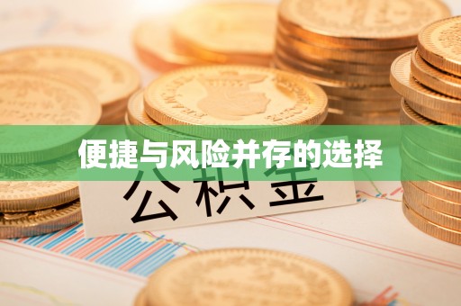 荔浦便捷与风险并存的选择
