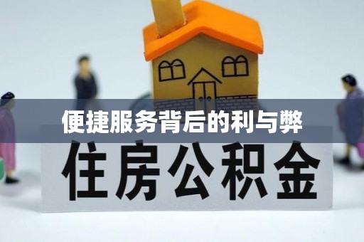 荔浦便捷服务背后的利与弊