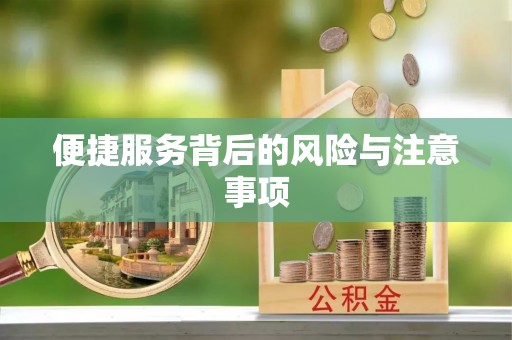 荔浦便捷服务背后的风险与注意事项