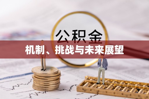 荔浦机制、挑战与未来展望